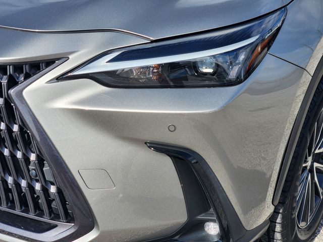 2024 Lexus NX 250 Premium - 7