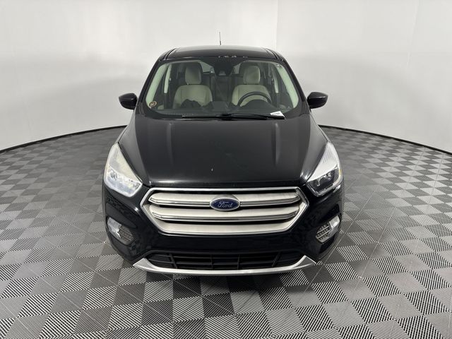Used 2019 Ford Escape For Sale in Indianapolis, IN