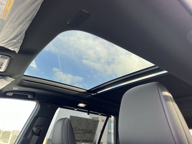 2024 Lexus Tx