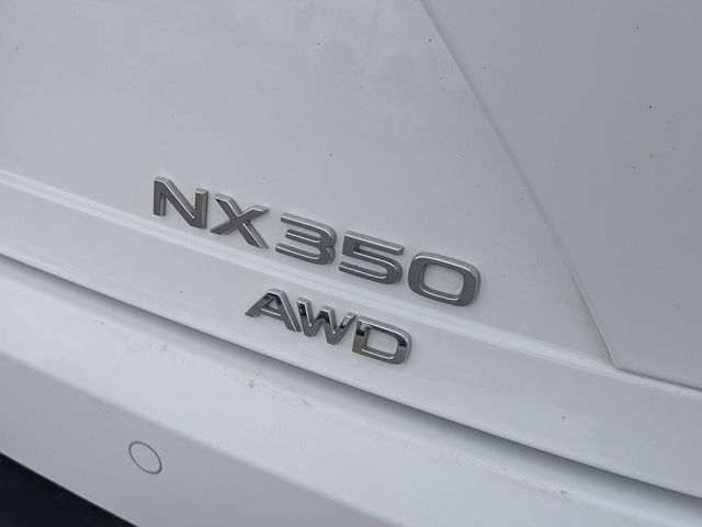 2024 Lexus NX - Image 10