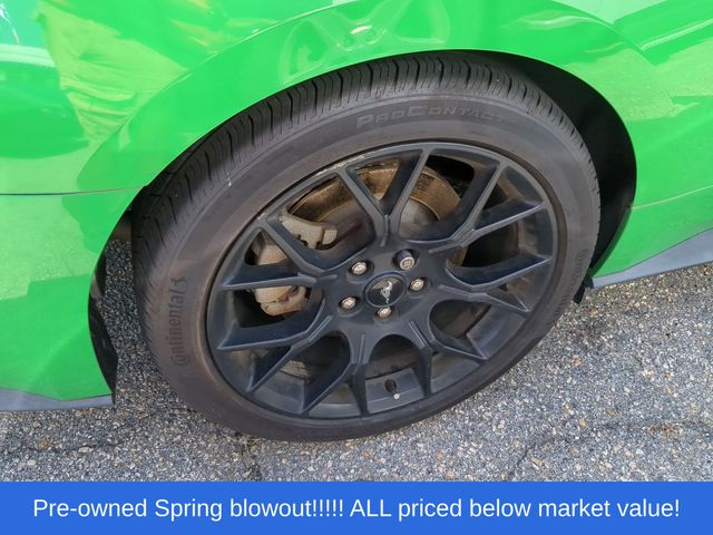 Used 2019 Green Ford EcoBoost Premium image 13