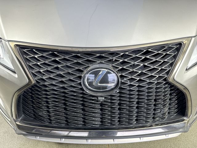 2022 Lexus RX RX photo