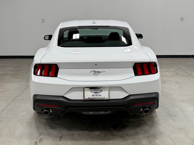 2025 Ford Mustang EcoBoost photo