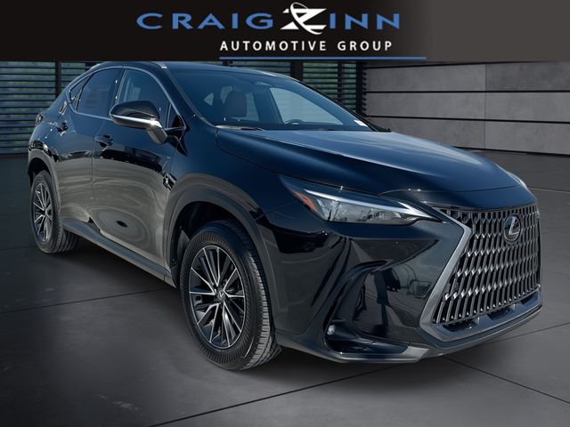 2024 Lexus NX - $39,998