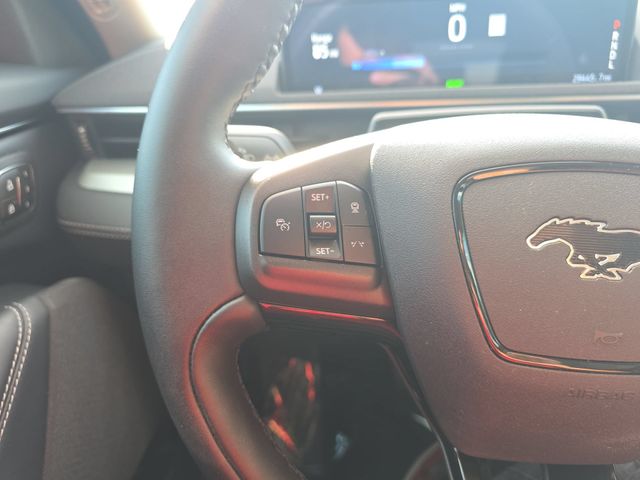 Used 2023 Carbonized Gray Metallic Ford California Route 1 image 17