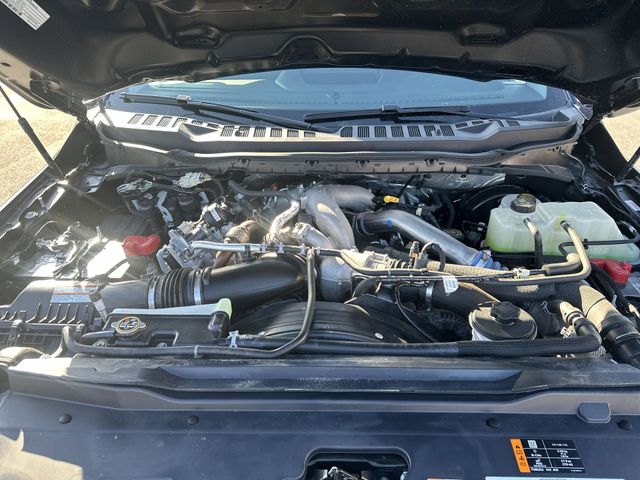 Used 2025 Blue Ford XLT image 19