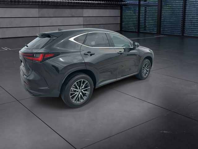 2025 Lexus NX - $41,998