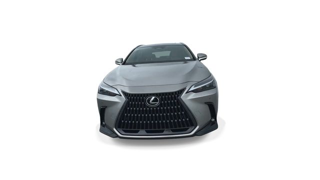 2025 Lexus NX - $43,888