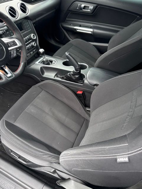 2019 Ford Mustang GT Gray at Grove City Ford