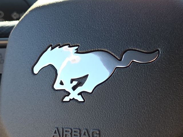 New 2026 Black Ford EcoBoost image 23