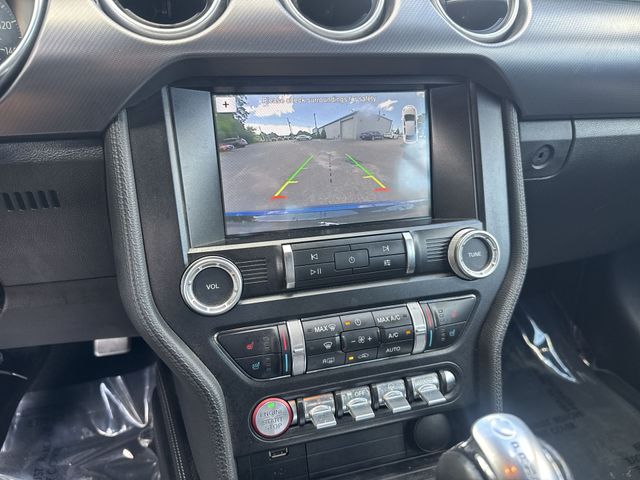 Used 2019 Blue Ford EcoBoost Premium image 22