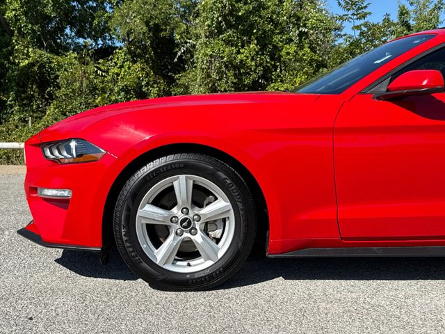 Used 2019 Ford Mustang Convertible