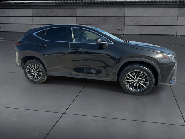 2024 Lexus NX - $36,988