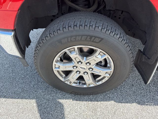 2022 Race Red Ford F-150 XLT 4X4 Truck