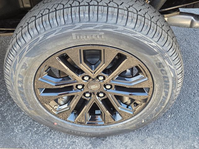 New 2026 Ford F-150 SuperCrew 5.5' Box XLT