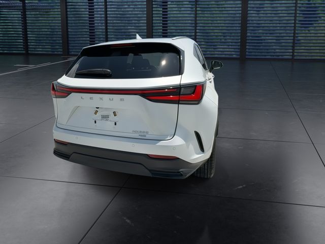 Used 2024 Lexus NX SUV