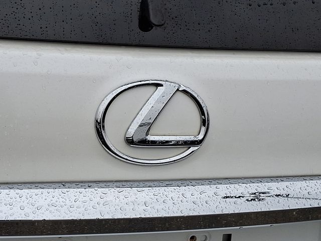 2019 Lexus GX 460 30