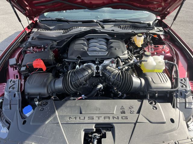 New 2025 Red Ford GT Premium image 18