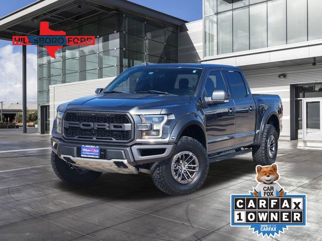 2019 Magnetic Metallic Ford F-150 Raptor 4X4 Truck