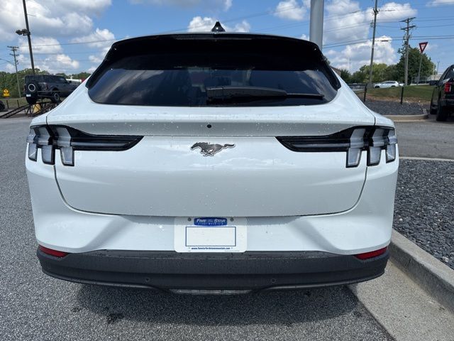 New 2025 White Ford Premium image 10