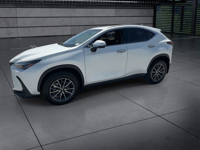 Used 2025 Lexus NX SUV