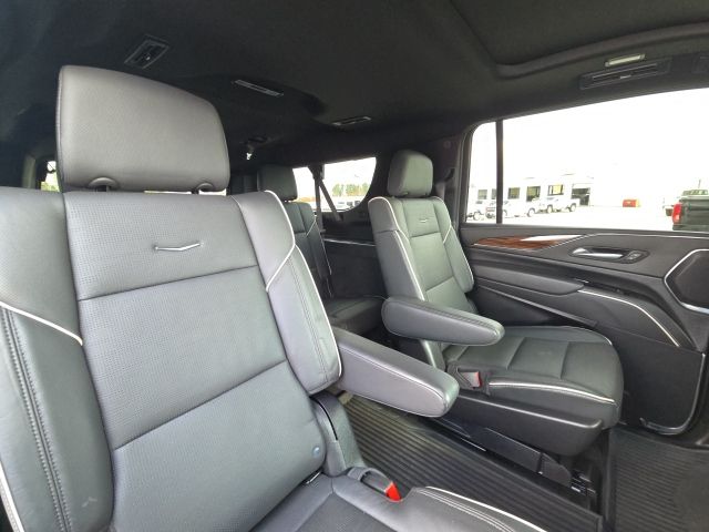 2024 Cadillac Escalade ESV Premium:C02484