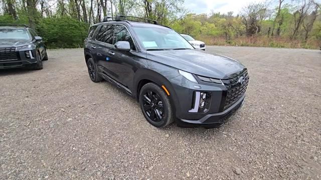 Palisade XRT