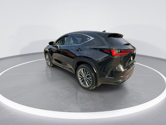 Used 2023 Lexus NX SUV