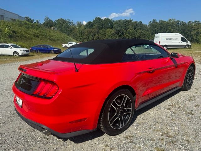 Used 2022 Red Ford EcoBoost Premium image 8