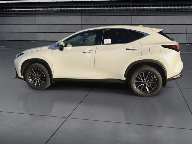 2025 Lexus NX - $47,998