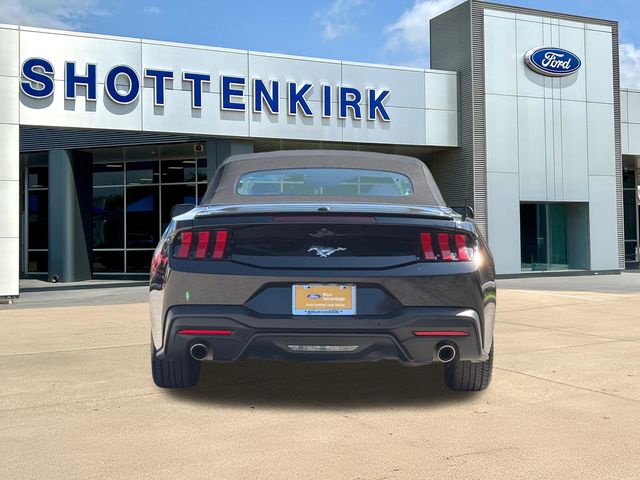 Certified Used 2024 Black Ford EcoBoost Premium image 7