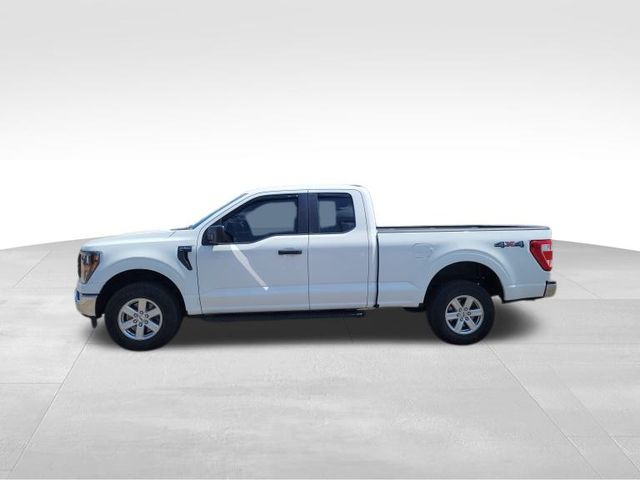 2023 Ford F-150 XL 2