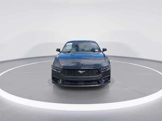 Used 2024 Gray Ford EcoBoost image 2