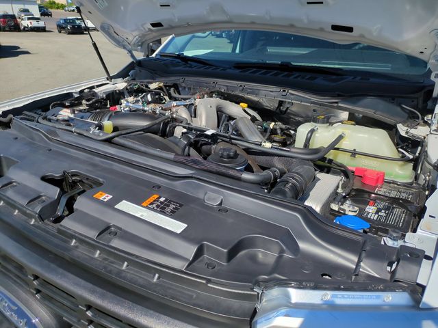 Used 2026 White Ford XL image 33