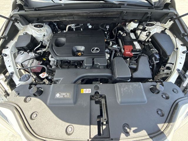 Used 2025 Lexus NX SUV
