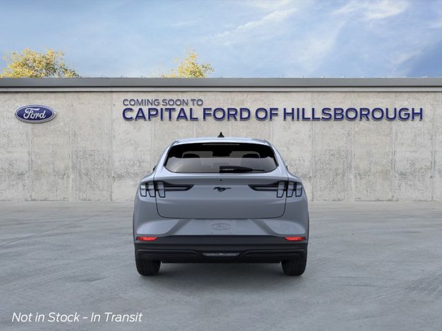 New 2026 Gray Ford Select image 5