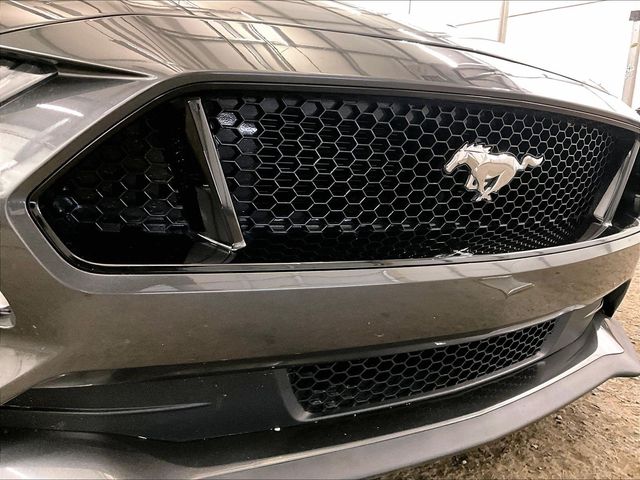 2020 Ford Mustang GT Premium Gray at Bob Ruth Ford