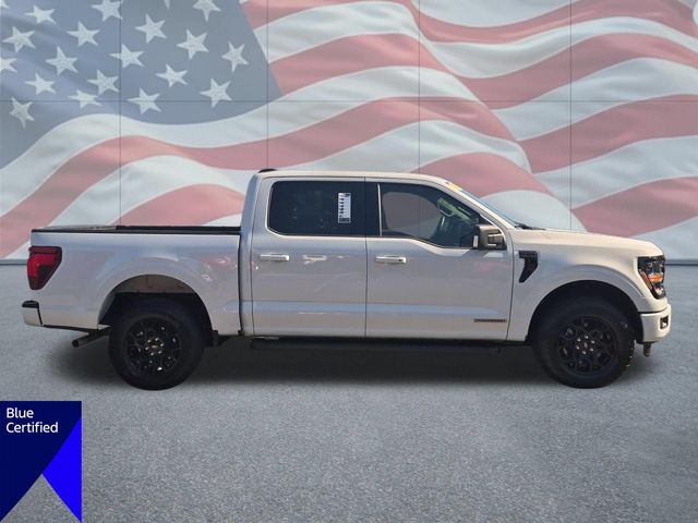 Used 2025 White Ford XLT image 2