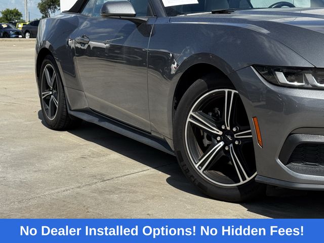 2024 Ford Mustang EcoBoost Premium Gray at DeMontrond Mazda
