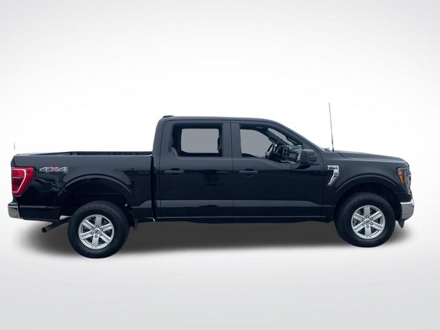 2023 Ford F-150 XLT 6