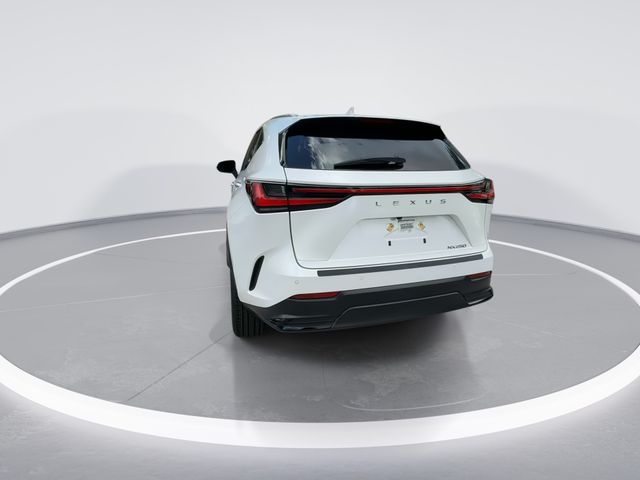 2025 Lexus NX - $37,498