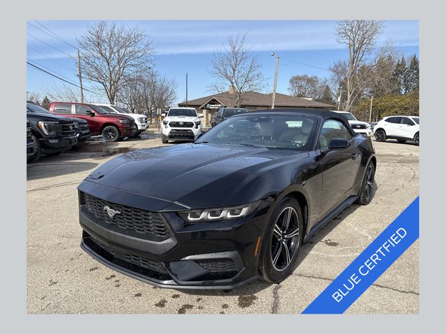 Shadow Black 2024 Ford Mustang EcoBoost Premium Convertible RWD Convertible Rear-Wheel Drive Automatic