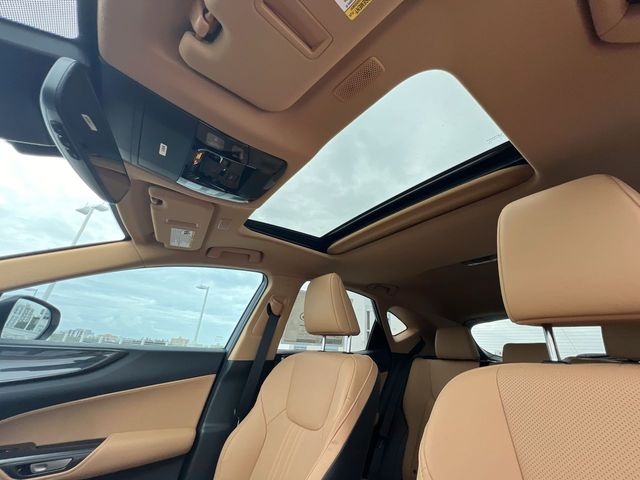 2025 Lexus NX - $43,888