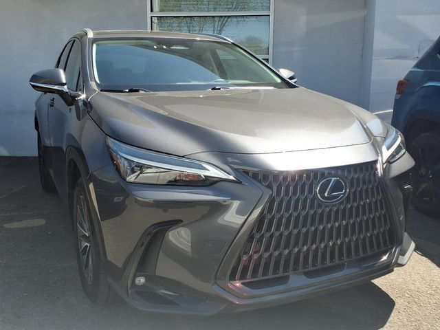 2022 Lexus NX - Image 4