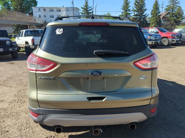 2013 Ginger Ale Metallic Ford Escape SE 4X4 SUV