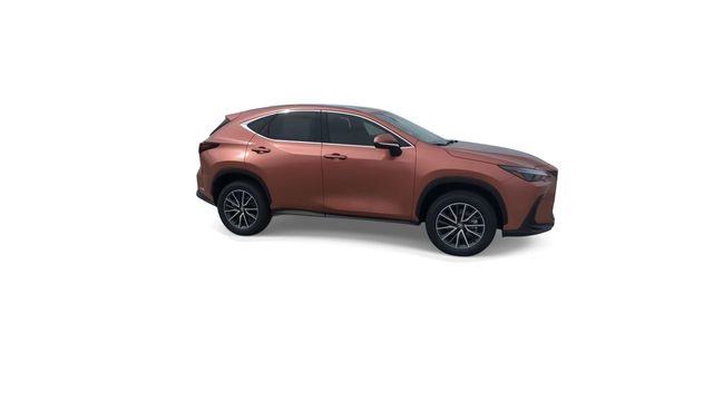 2025 Lexus NX - $39,888