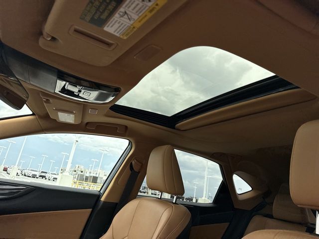 2025 Lexus NX - $41,998