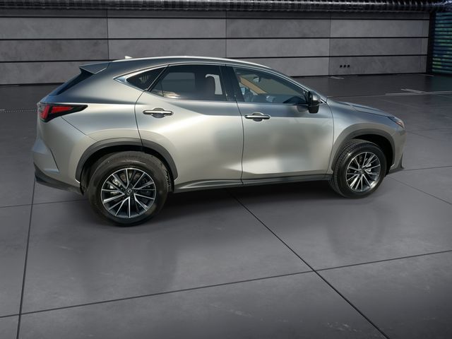 Used 2024 Lexus NX SUV