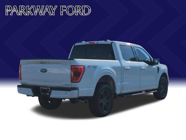 Used 2023 White Ford XLT image 5
