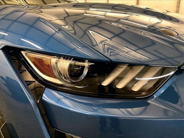 2020 Ford Mustang Shelby GT500 Blue at Bob Ruth Ford
